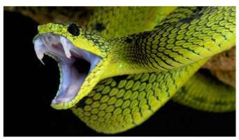 <ul><li><p><u>Conditioning:</u> whenever you became anxious, your parents positively reinforced the behavior by babying you, so you learned to respond a certain way → BEHAVIORAL</p></li><li><p>Feelings of not being in control can lead to anxiety → COGNITIVE</p></li><li><p><span style="color: red;"><u>Preparedness:</u></span> evolved to be afraid of danger b/c it’s evolutionarily beneficial (easier to develop certain phobias b/c it’s beneficial to be afraid of snakes, roller coasters, etc.) → EVOLUTIONARY</p></li><li><p>Displacement or repression of unacceptable thoughts</p><ul><li><p>we have defense mechanisms → PSYCHOANALYTIC</p></li></ul></li></ul><p></p>