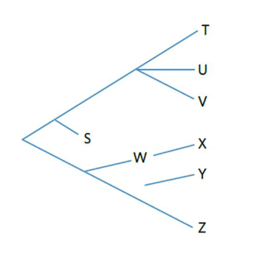 <ul><li><p><span>The lack of a node between species (E.g. Y and Z) means that the exact divergence point is unknown (due to lack of fossil or molecular evidence)</span></p></li><li><p><span>A break between species (e.g. W and X), means that W is possibly an ancestor of X but there is no evidence of transitional fossils between the two species to support this hypothesis</span></p></li><li><p><span>The branch with species S does not reach the end of the tree, indicating that it is extinct</span></p></li><li><p><span>Nodes usually only split into two lineages, but sometimes they can split into three or more (e.g. T, U, and V)</span></p></li><li><p><span>This means that it is unclear which species diverged from the others first</span></p></li><li><p><span>This occurs if there is insufficient data or if two speciation events occurred closely together</span></p></li></ul><p></p>