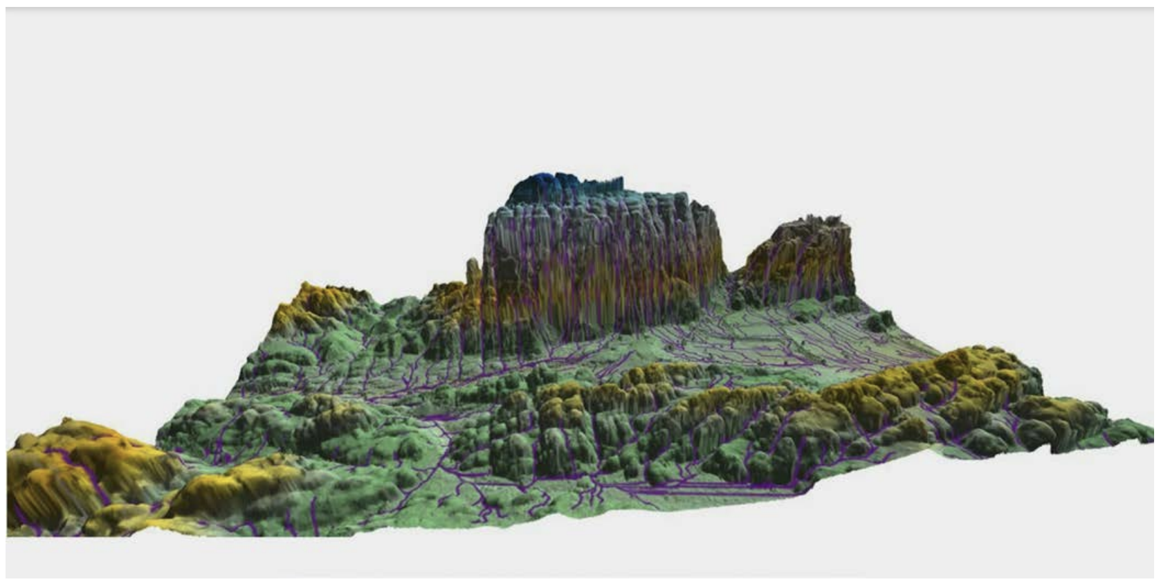 term image