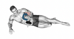 <p>What exercise works the supinator?</p>