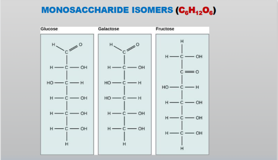 <p>formula (C6 H12 O6)</p><ol><li><p>Glucose - important source of energy</p></li><li><p>Galactose - part of lactose/milk sugar</p></li><li><p>Fructose - part of sucrose/fruit</p></li></ol><ul><li><p>Molecules that share the exact same molecular formula but have different structural arrangements of atoms</p></li></ul><p></p>