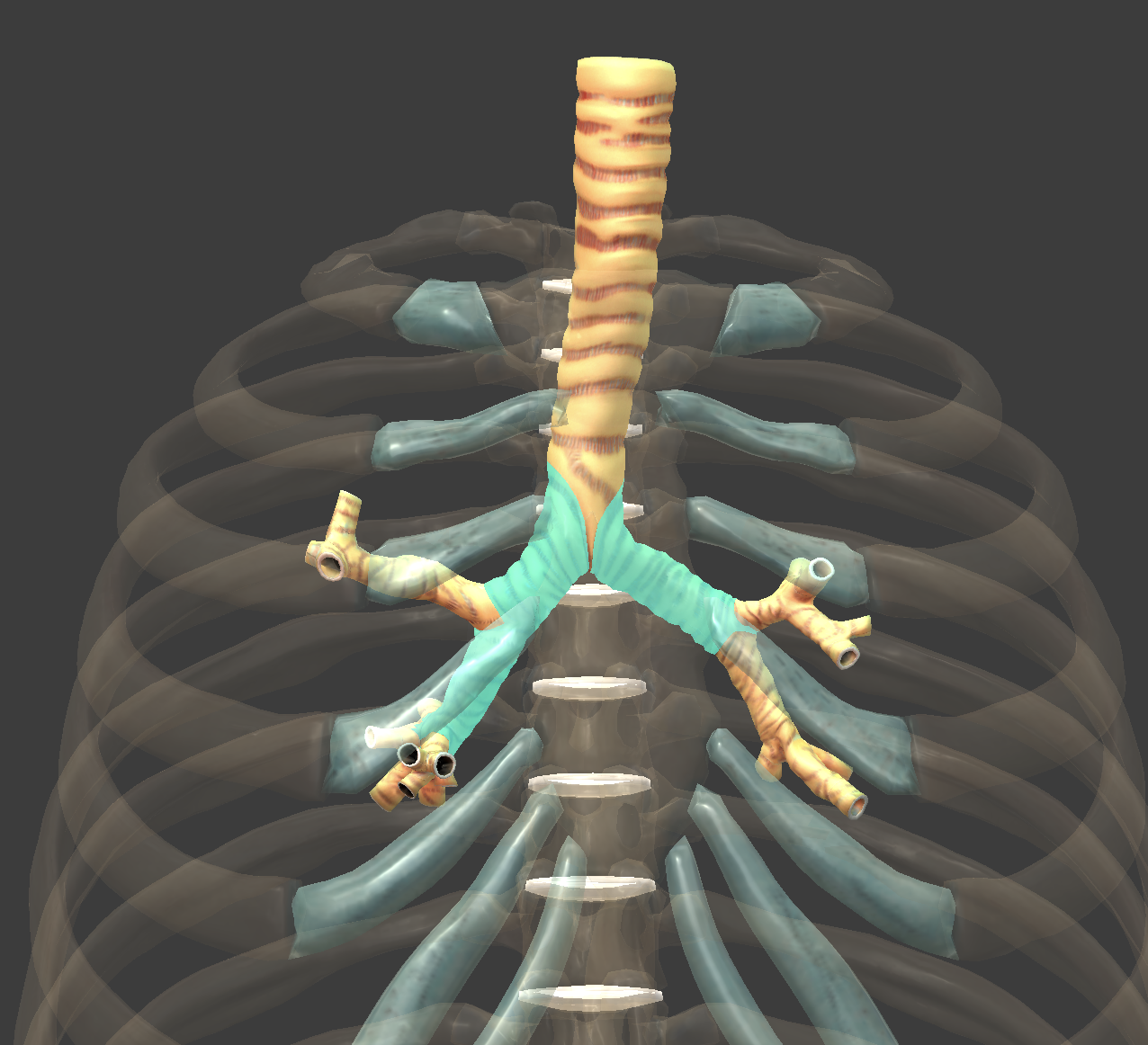 <p>What is this?</p>