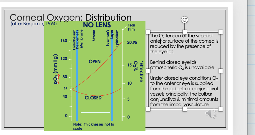 <p>open eye :</p><ul><li><p>155mmHg O2 available to cornea and drops to 55mHg at endothelium </p></li></ul><ul><li><p>in closed eye —> less - 55mHg available — eyelid blocks atmospheric O2 </p></li><li><p>endothelium </p></li><li><p>homeostasis achieved without CL at 55mmHg </p></li></ul><p></p>