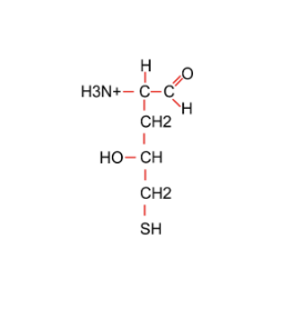 <p>Which of the following chemical groups is <u>not</u> present in the compound in the figure?</p>