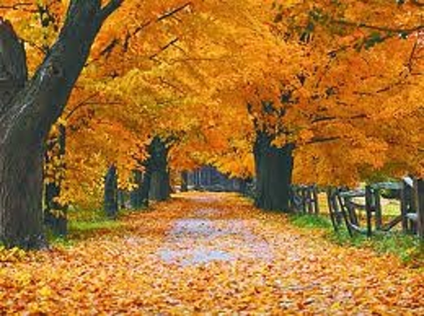 <p>November ist der --- Monat im Jahr</p>