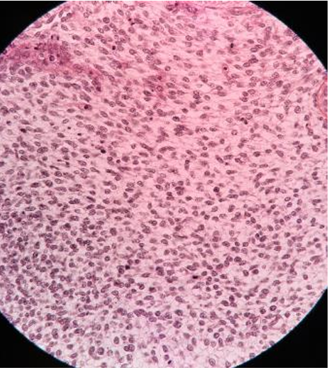 <p>what is this tissue</p>