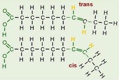 <p>straighter hydrocarbon tails, so they pack tightly</p>