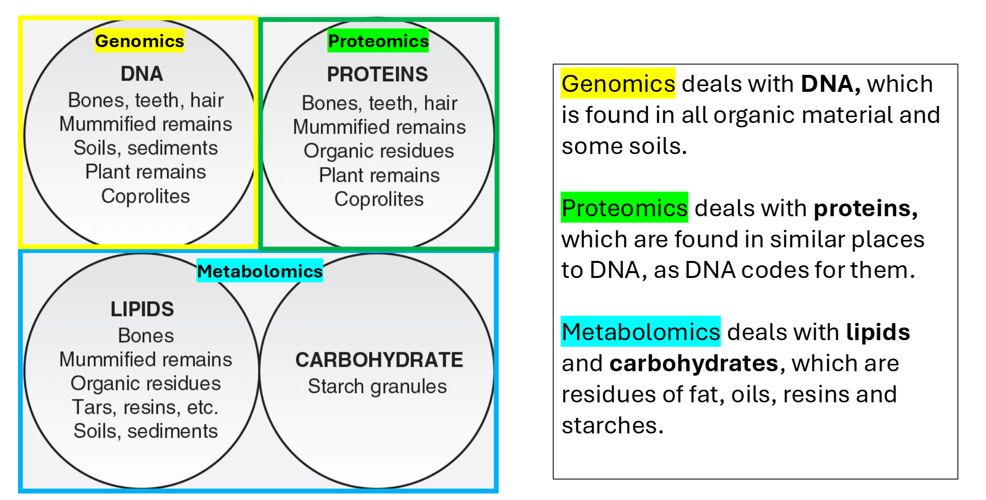 <ul><li><p><strong>Genomics </strong>deals with <strong>DNA</strong>, which is found in all organic material and soils</p><ul><li><p>RNA doesn’t last very long and doesn’t tell us much DNA can’t</p></li></ul></li><li><p><strong>Proteomics </strong>deals with <strong>proteins</strong>, which are found in similar places to DNA, as DNA codes for them</p></li><li><p><strong>Metabolomics </strong>deals with <strong>lipids and carbohydrates</strong>, which are residues of fat, oils, resins and starches</p></li><li><p><strong>Isotopes </strong>are not biomolecules, perse, but are contained within the other biomolecule classes and their analysis is conducted with bulk protein or lipid preps</p></li></ul><p></p>