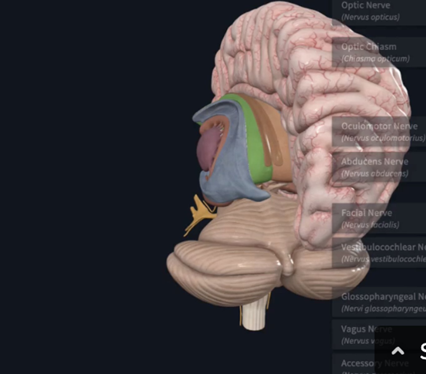 knowt flashcard image