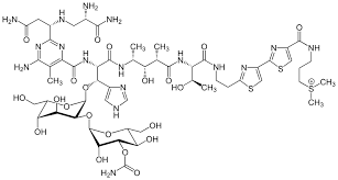 <p>bleomycine</p>