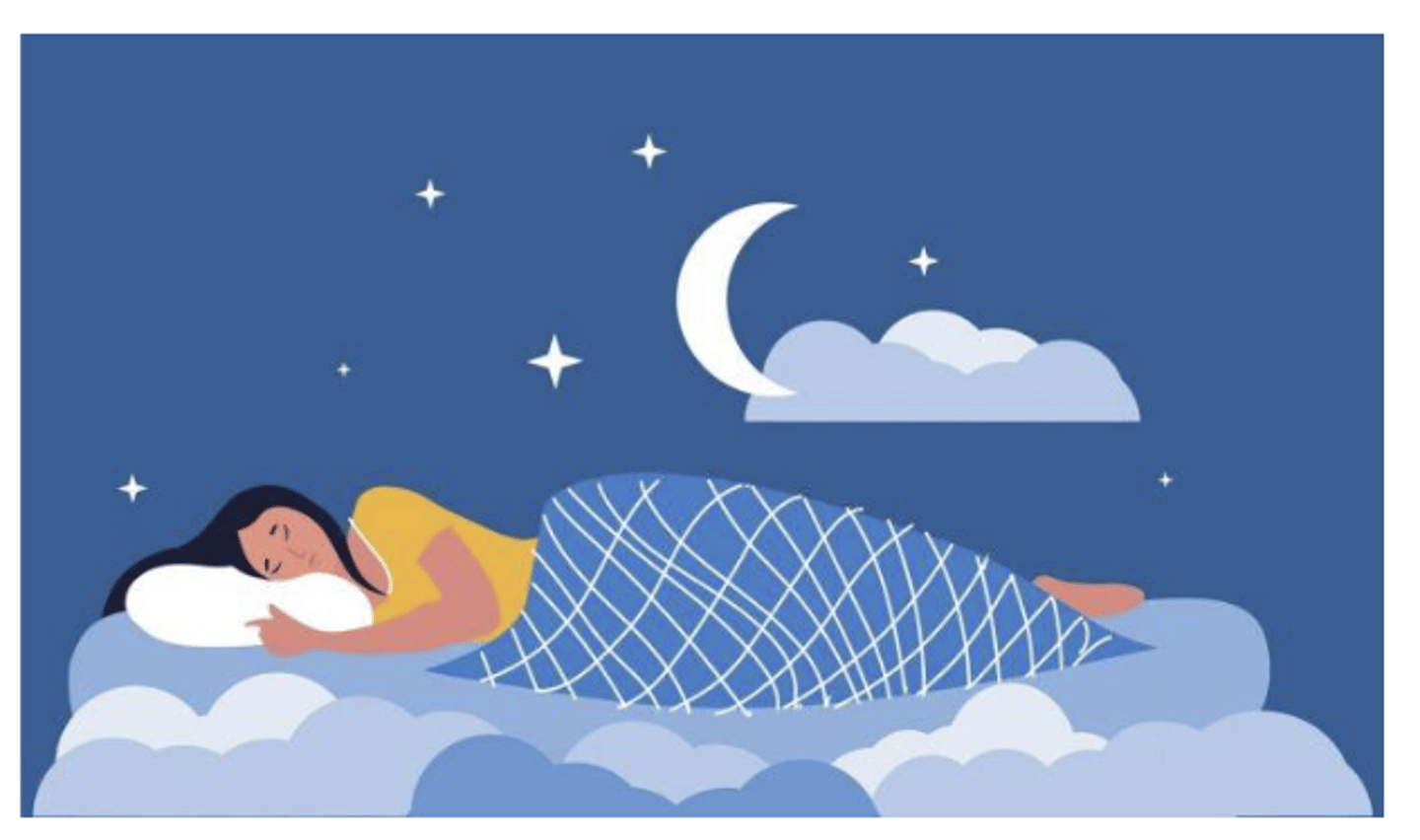 <p>• circadian rhythm</p><p>• high levels cause sleepiness</p>