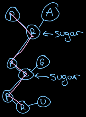 <p>the sugar </p>