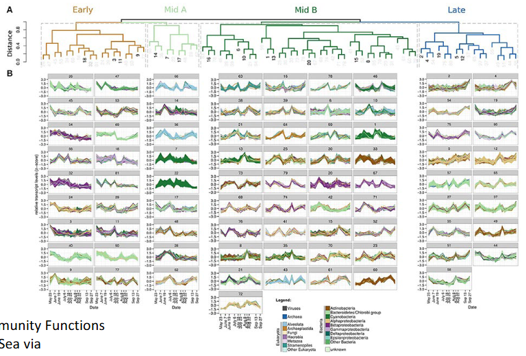 <ul><li><p>What are they doing?</p></li><li><p>RNA sequences</p></li><li><p>nucleic extraction method</p></li><li><p>short half-life</p></li><li><p>presence of Rnases</p></li><li><p>lots of rRNA</p></li></ul><p></p>