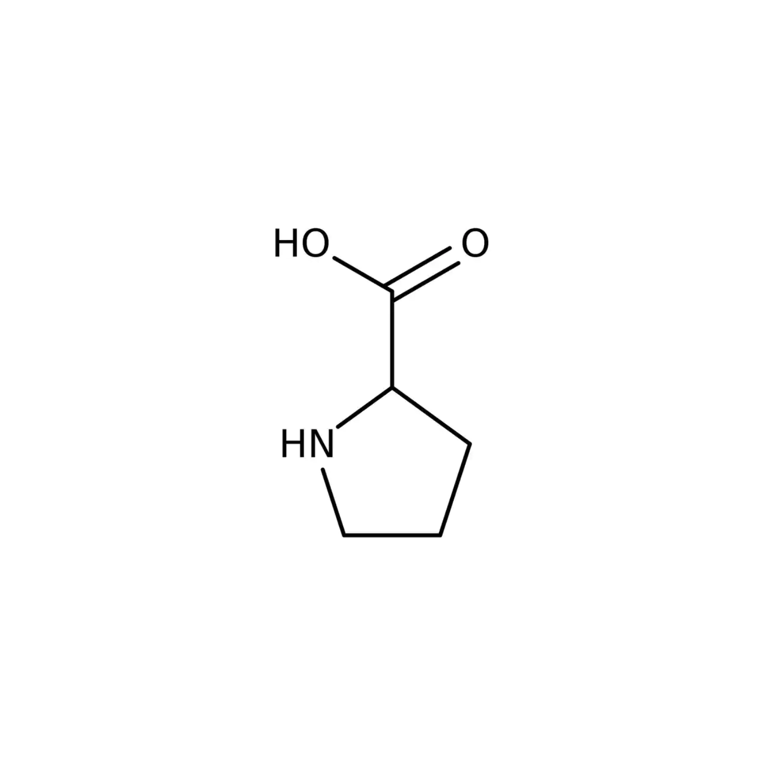 <p>R-group: propyl that connects with 2 primary amine to make pentagon; nonpolar</p>