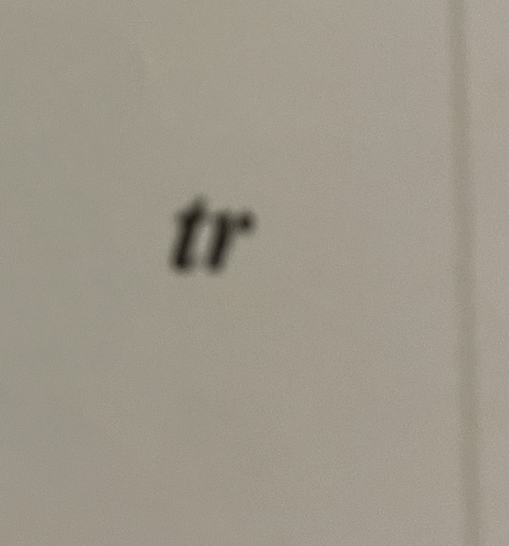 term image