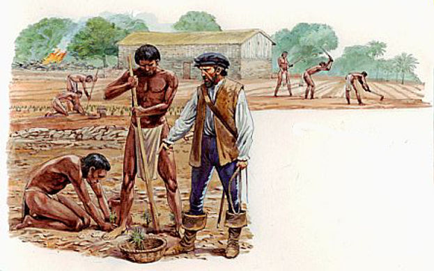 <p>Hacienda </p>