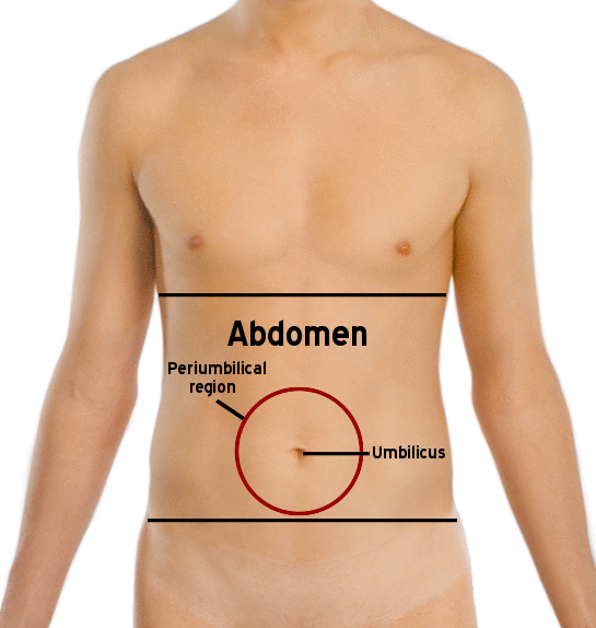 <p>abdominal</p>