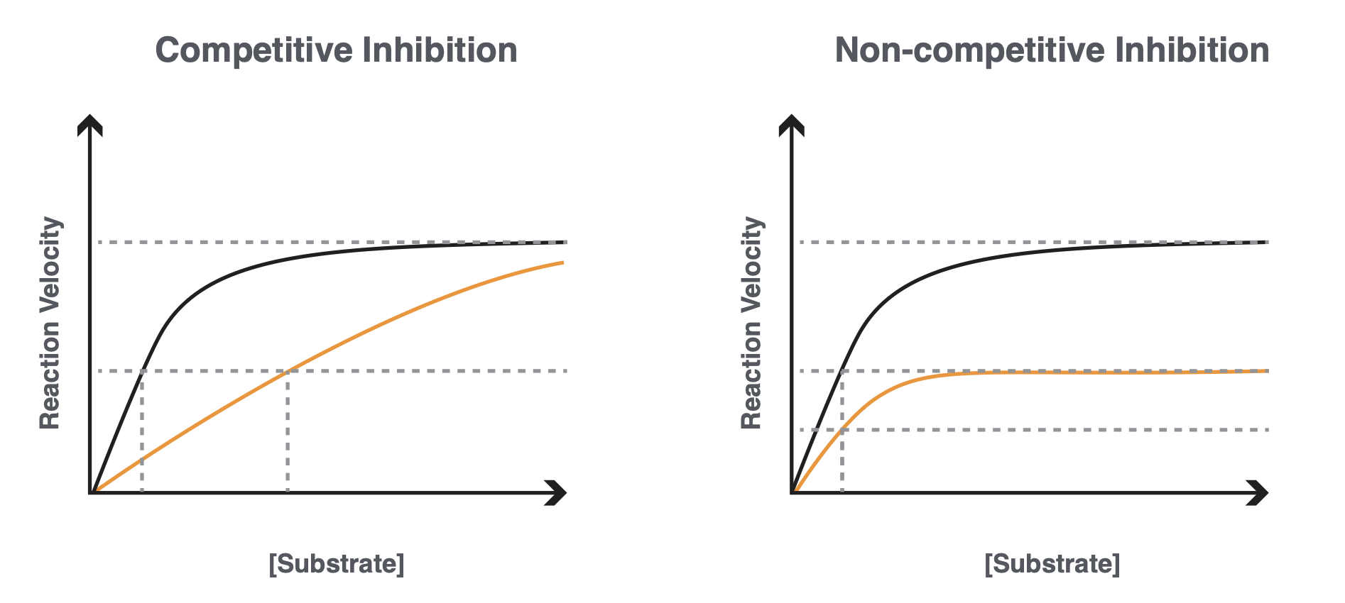 <p>Allosteric binders to reverse transcriptase</p><ul><li><p>they are non-competitive binders as a result of allosteric binding</p></li></ul><p></p>