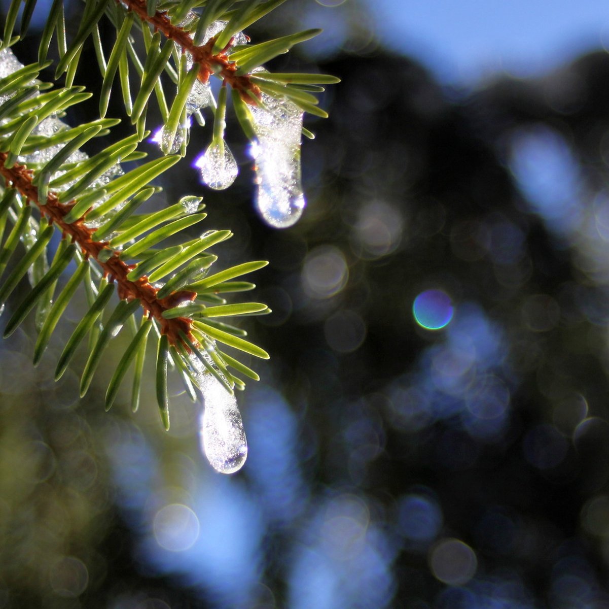 <p>to melt</p>