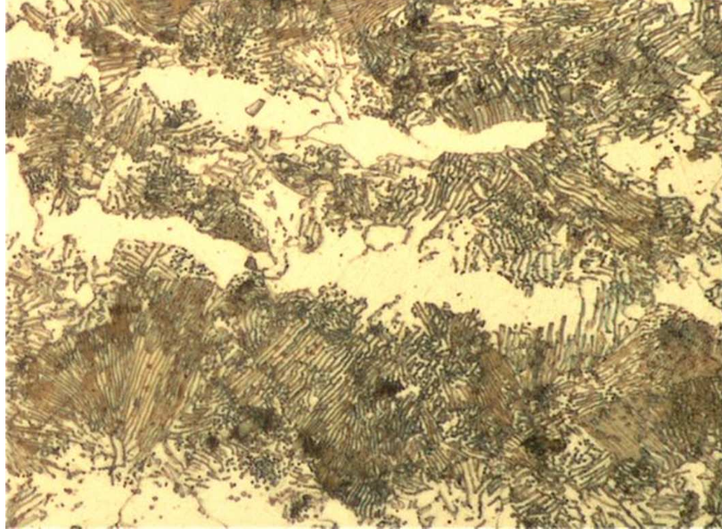<p>Explain this microstructure</p>