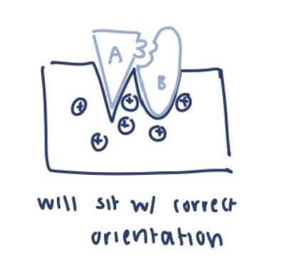 <p>lower activation energy, not consumed in reaction</p>