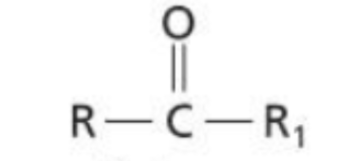 <p>An organic molecule with a carbonyl functional group that is placed on an internal carbon, thus being bonded to two separate R groups</p>