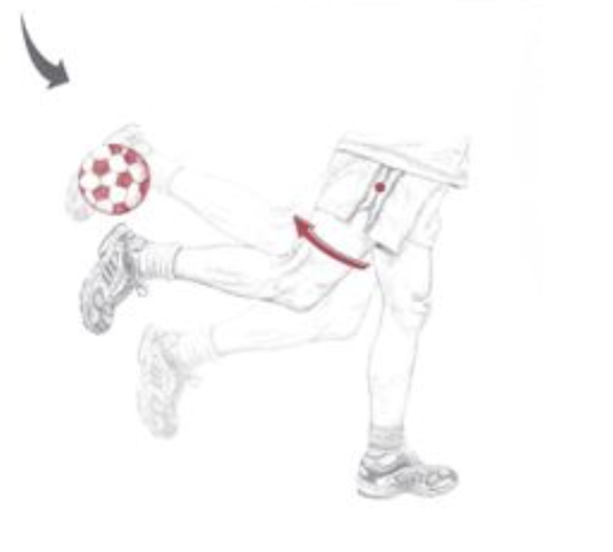 <p><span>Which of the following are the synergists of the motion depicted below?&nbsp; The dot indicates the joint of interest. Select all that apply.</span></p>