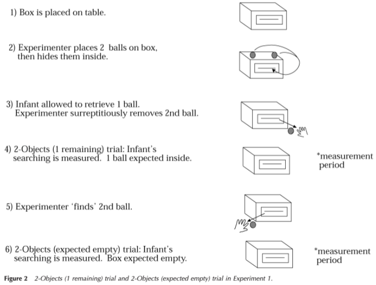 <ul><li><p>infants age: 12-14 months </p></li><li><p>if babies can track the no. they should search longer if they believe one object is still remaining </p></li></ul><p></p>