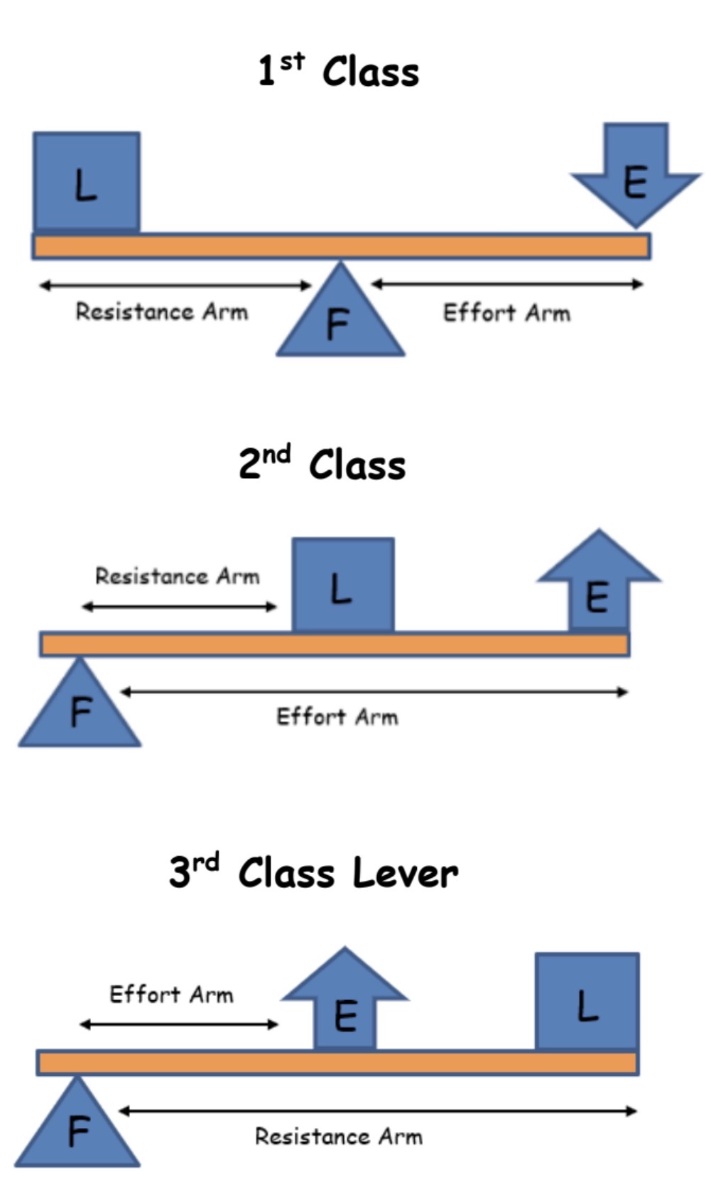 <p>The load is surrounded by the fulcrum and the effort</p>