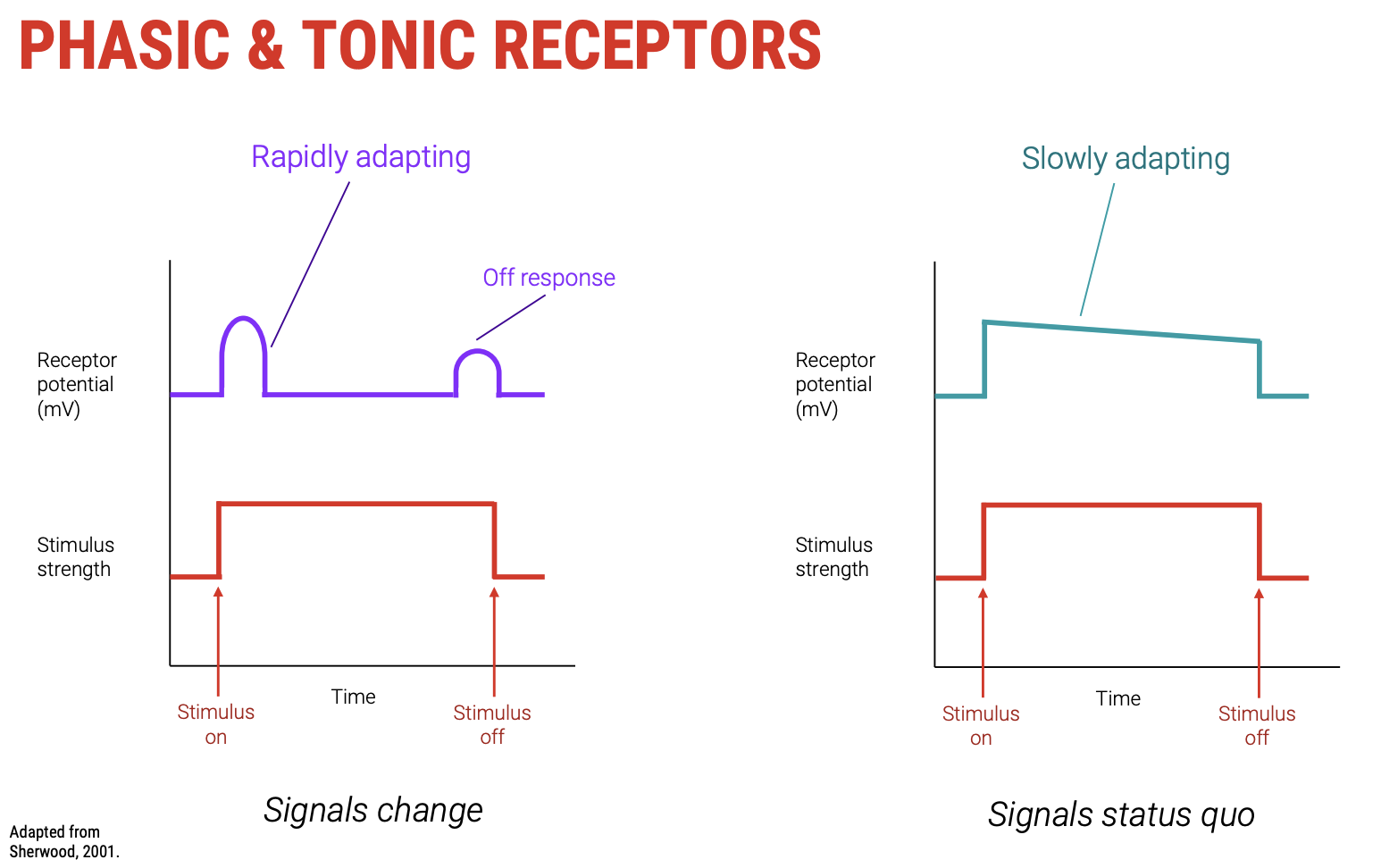 <p><mark data-color="blue" style="background-color: blue; color: inherit;">Tonic vs Phasic</mark></p>
