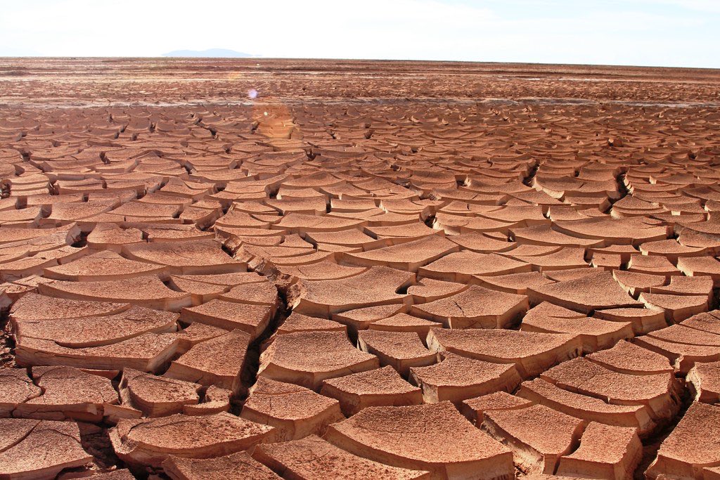 <p>textures appear to grow more dense as distance increases</p>
