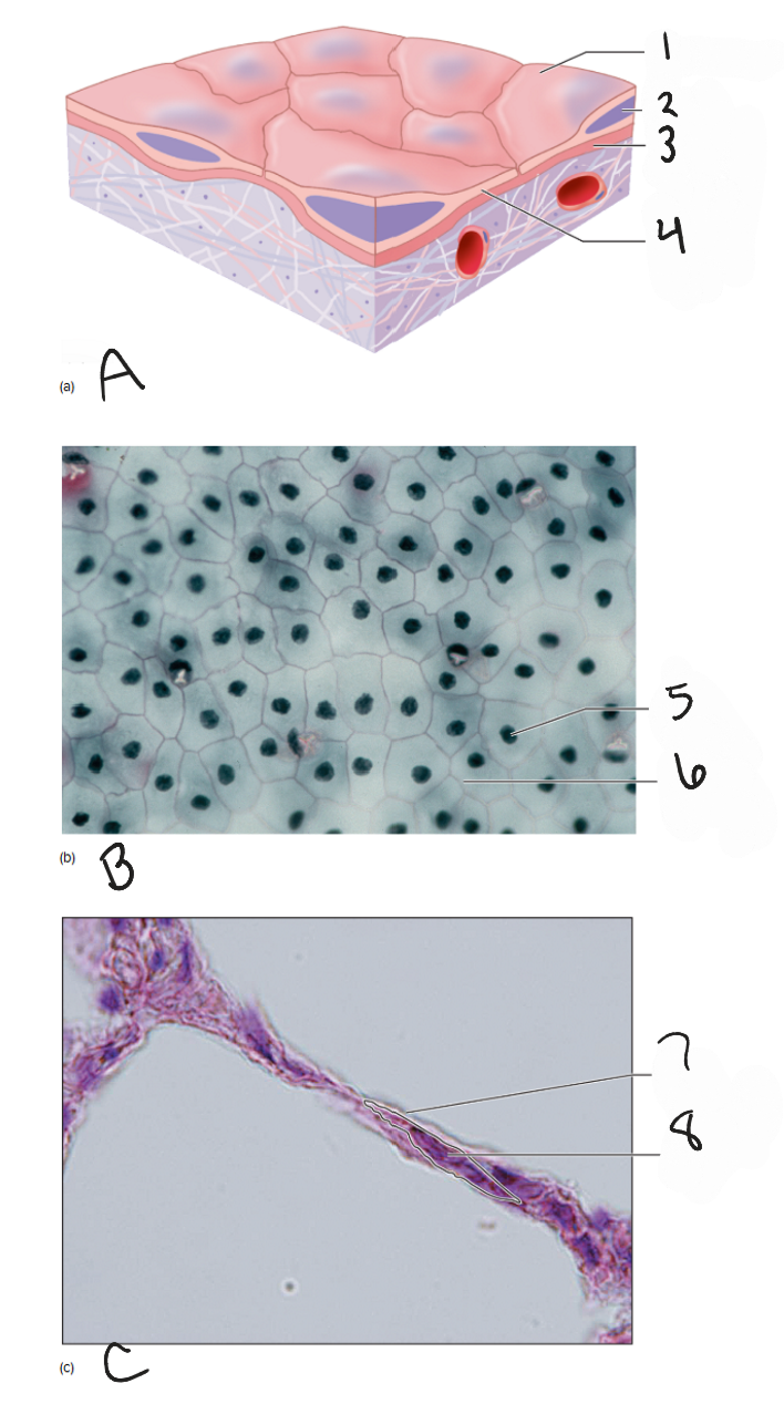<p>3</p>