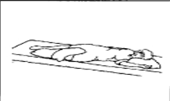 <p>what position is this?</p>