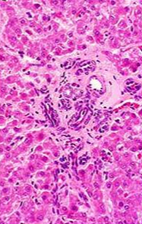 <p>What is being shown here?</p>