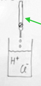 <p><span>What is located inside this tube?</span></p>