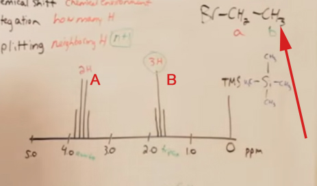 <p><span>The arrow is pointing to the A or B peak?</span></p>