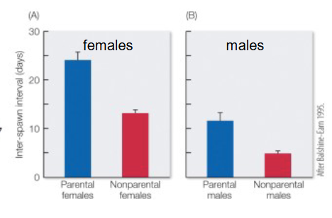 <p>what do these figures show?</p>
