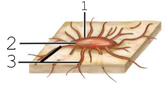 <p>2</p>