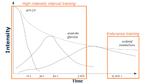 <p>Training stimulus = <strong>intensity × time</strong></p><p>Examples:</p><ul><li><p>High intensity + short duration → ATP-PCr + anaerobic glycolysis dominant</p></li><li><p>Low intensity + long duration → aerobic metabolism dominant</p></li></ul><p>Both can improve fitness differently.</p>