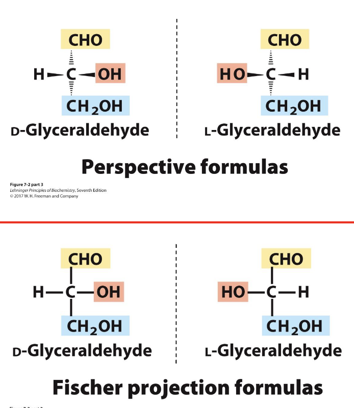 <ul><li><p><strong>Purpose:</strong> Represent <strong>chiral carbohydrates</strong> in 2D</p></li><li><p><strong>Perspective rules:</strong></p><ul><li><p><strong>Horizontal bonds:</strong> pointing <strong>toward you</strong></p></li><li><p><strong>Vertical bonds:</strong> pointing <strong>away from you</strong></p></li></ul></li><li><p>Useful for <strong>quickly visualizing stereochemistry</strong> of sugars</p></li></ul><p></p>