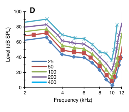 <p>What type of curve is this?</p>