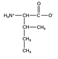 <p>non-polar aliphatic</p>
