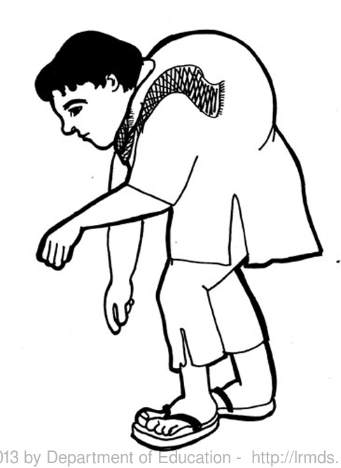 term image