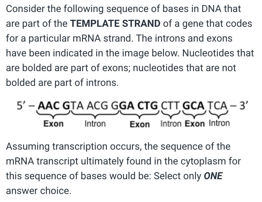 <p>5’ – UUG CCU GAC CGU – 3’</p><p></p><p>&nbsp;</p><p>5’ – UGA UGC AAG CAG UCC CGU UAC GUU – 3’</p><p>&nbsp;</p><p>5’ – UUG CAU UGC CCU GAC GAA CGU AGU – 3’</p><p>&nbsp;</p><p>5’ – UGC CAG UCC GUU – 3’</p><p>&nbsp;</p><p>None of the above are correct</p>