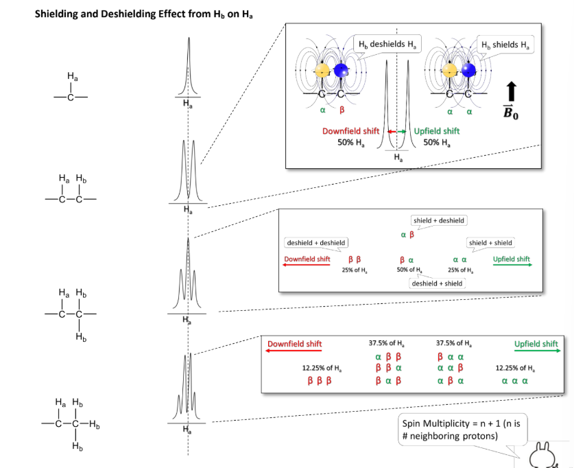 <p><strong><u>Shielding and Deshielding Effect from Hb and Ha </u></strong></p><ul><li><p>Protons deshield neighboring _____due to their orientation in the applied magnetic field. </p></li></ul><p></p>