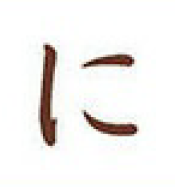 term image