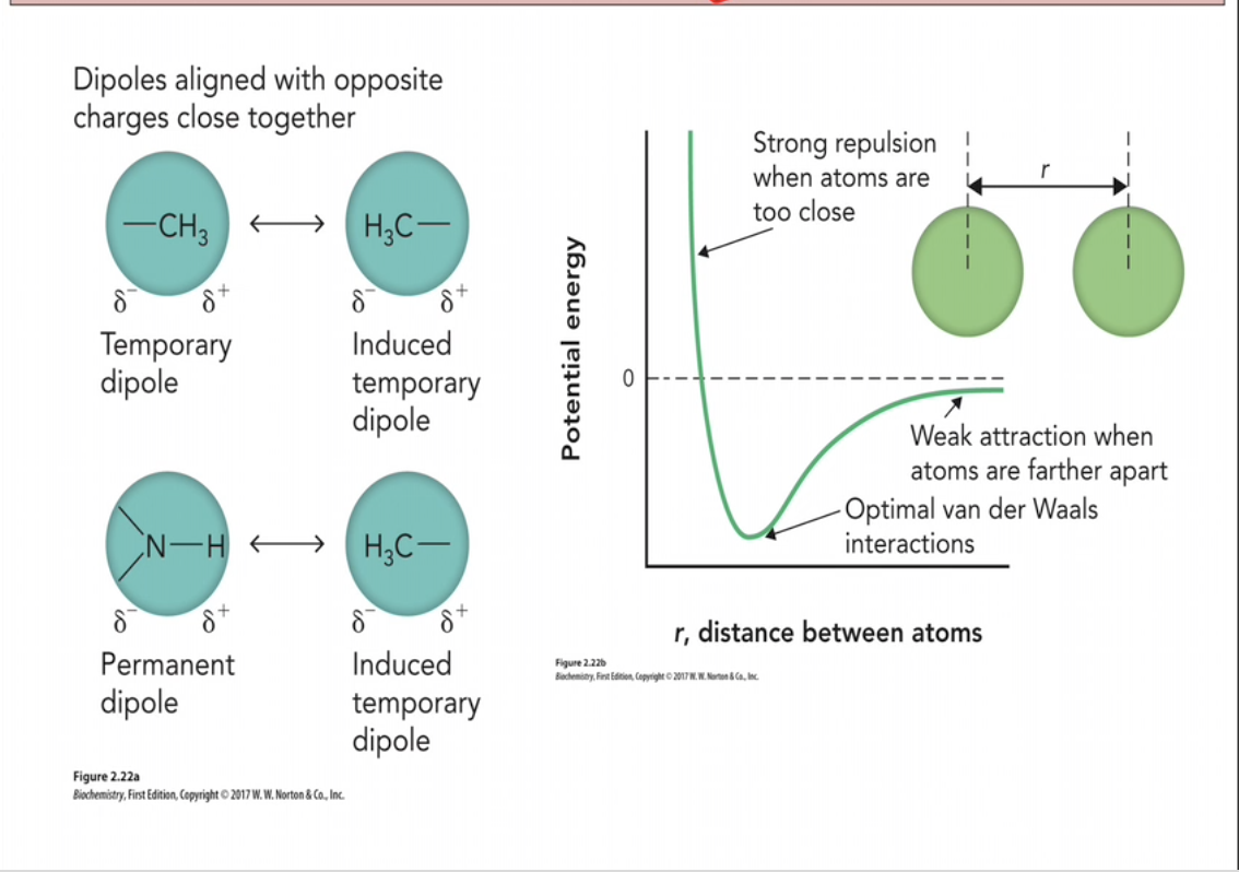 <p>The electrons moving around an atom create small, temporary dipole moments which can interact with surrounding atoms. (Lecture 1.1 part 3 24:00)</p>