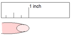 <p>inch</p>