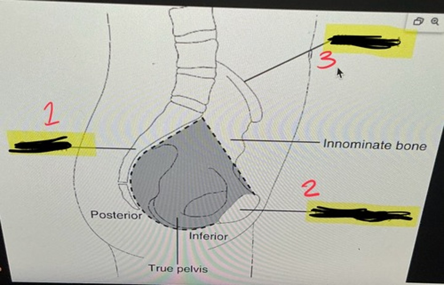 <p>1</p>