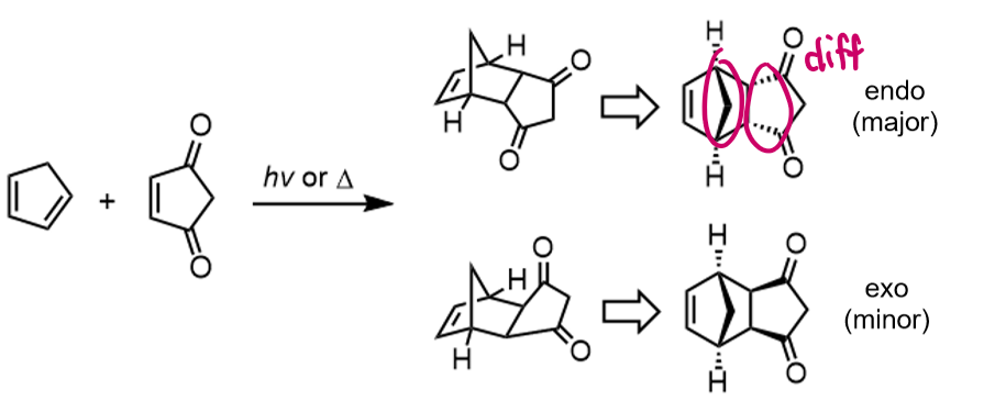 <p>two ring structure formed</p><p>endo and exo products</p>